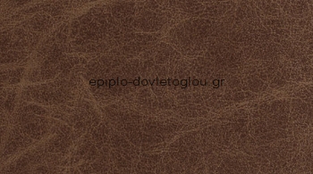 ΤΕΧΝΟΔΕΡΜΑΤΑ - ΔΕΡΜΑΤΙΝΕΣ